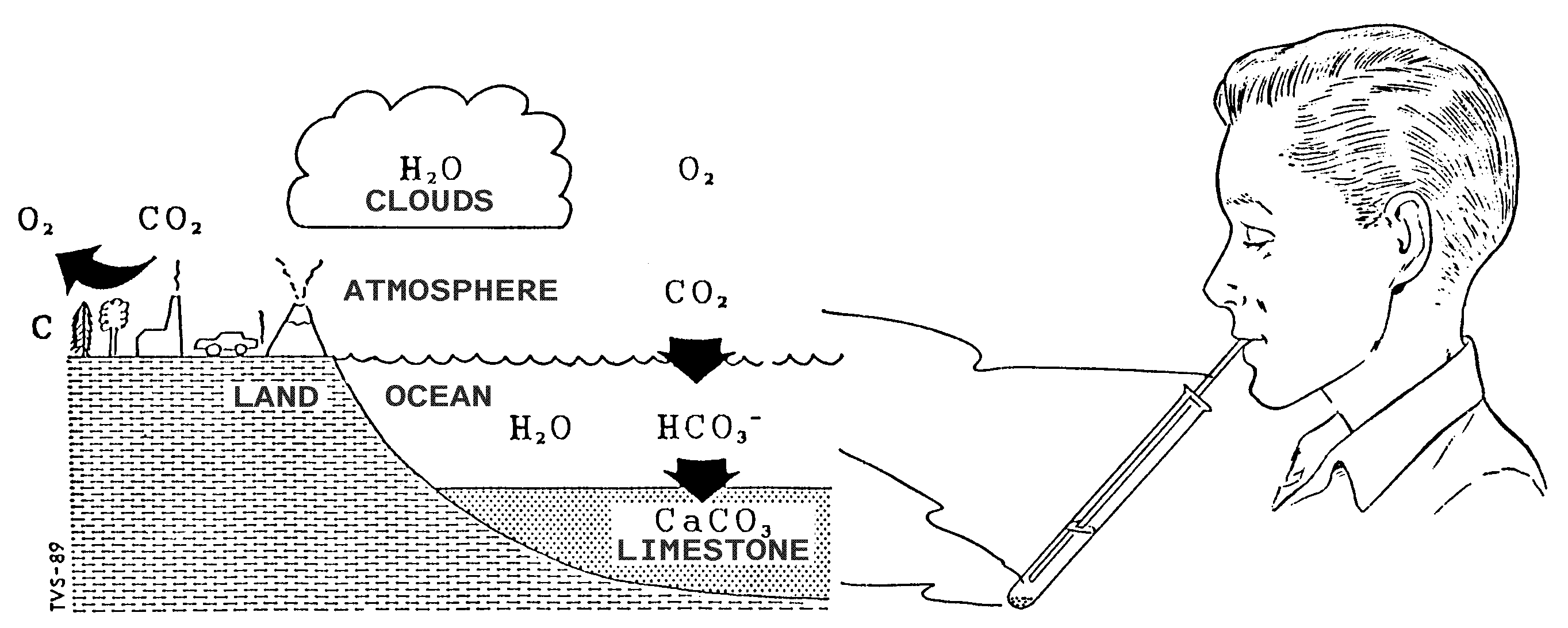 Limewater Co2